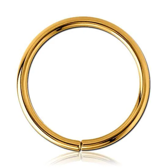 Tulsa Body Jewelry 16g Gold Continuous Ring Rings