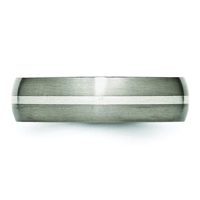 Rings Titanium and Silver Ring Matte Finish in 6mm Aircraft Grade Titanium deBebians